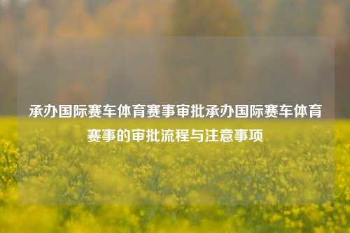 承办国际赛车体育赛事审批承办国际赛车体育赛事的审批流程与注意事项