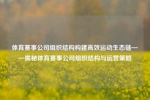 体育赛事公司组织结构构建高效运动生态链——揭秘体育赛事公司组织结构与运营策略