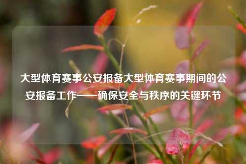大型体育赛事公安报备大型体育赛事期间的公安报备工作——确保安全与秩序的关键环节