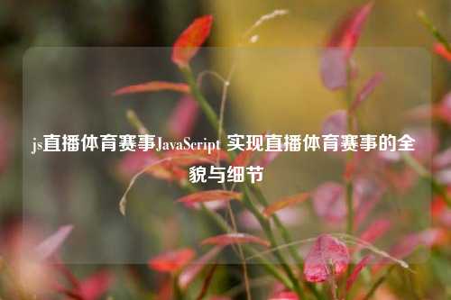 js直播体育赛事JavaScript 实现直播体育赛事的全貌与细节