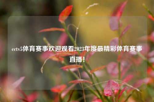 cctv5体育赛事欢迎观看2023年度最精彩体育赛事直播！