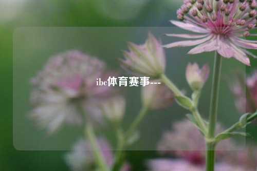 ibc体育赛事---