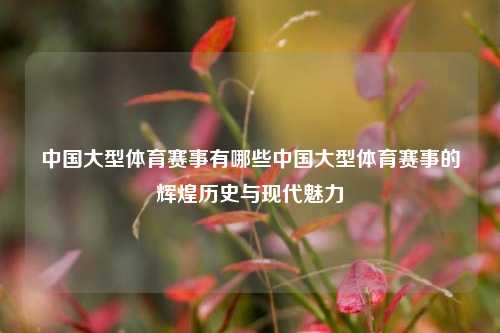 中国大型体育赛事有哪些中国大型体育赛事的辉煌历史与现代魅力