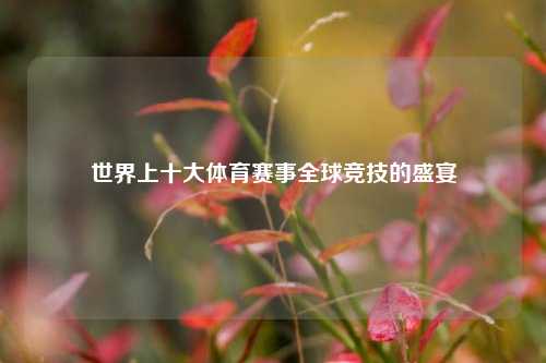 世界上十大体育赛事全球竞技的盛宴