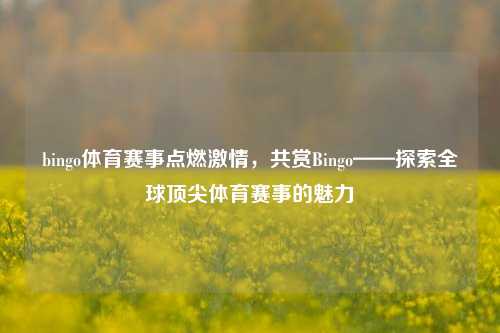 bingo体育赛事点燃激情，共赏Bingo——探索全球顶尖体育赛事的魅力