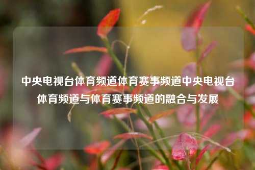 中央电视台体育频道体育赛事频道中央电视台体育频道与体育赛事频道的融合与发展