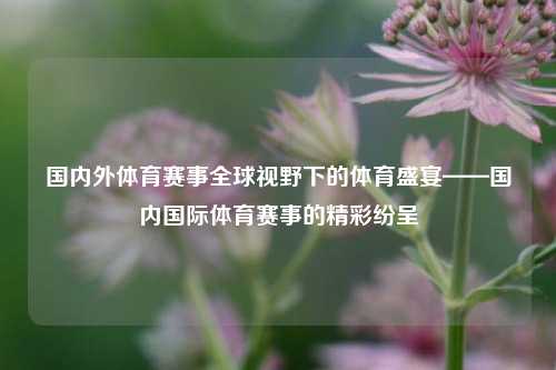 国内外体育赛事全球视野下的体育盛宴——国内国际体育赛事的精彩纷呈