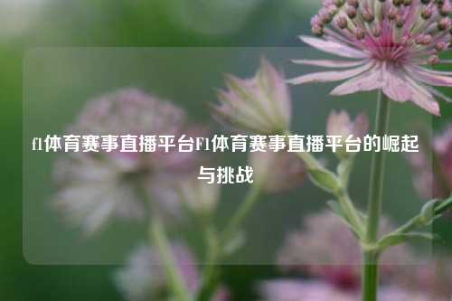 f1体育赛事直播平台F1体育赛事直播平台的崛起与挑战