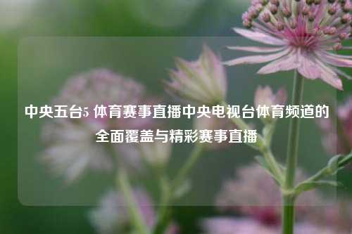 中央五台5 体育赛事直播中央电视台体育频道的全面覆盖与精彩赛事直播