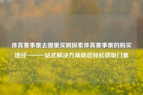 体育赛事票去哪里买啊探索体育赛事票的购买途径——一站式解决方案助您轻松获取门票