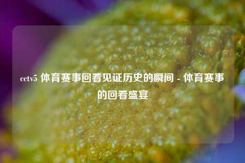 cctv5 体育赛事回看见证历史的瞬间 - 体育赛事的回看盛宴