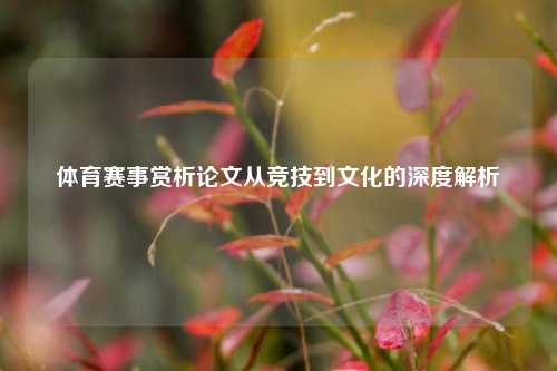体育赛事赏析论文从竞技到文化的深度解析
