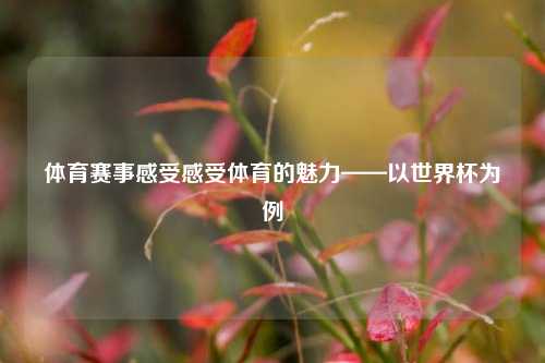 体育赛事感受感受体育的魅力——以世界杯为例