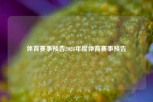 体育赛事预告2023年度体育赛事预告