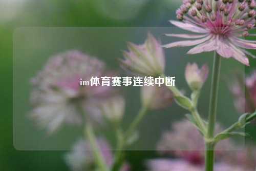 im体育赛事连续中断
