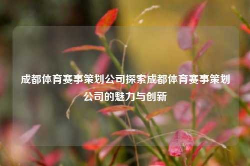 成都体育赛事策划公司探索成都体育赛事策划公司的魅力与创新