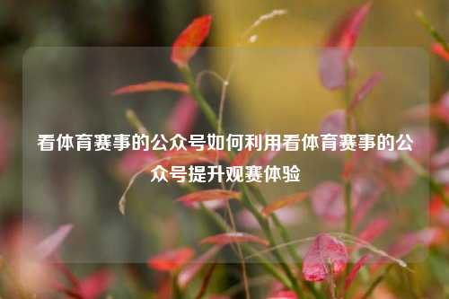 看体育赛事的公众号如何利用看体育赛事的公众号提升观赛体验