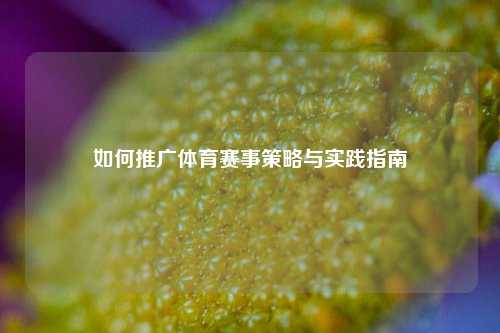 如何推广体育赛事策略与实践指南