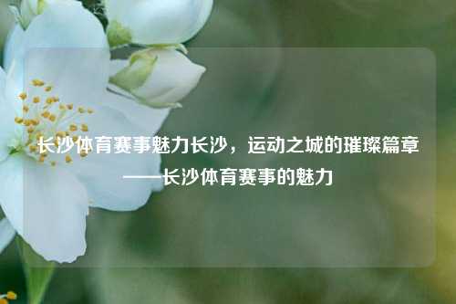 长沙体育赛事魅力长沙，运动之城的璀璨篇章——长沙体育赛事的魅力