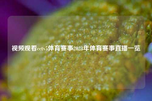 视频观看cctv5体育赛事2023年体育赛事直播一览