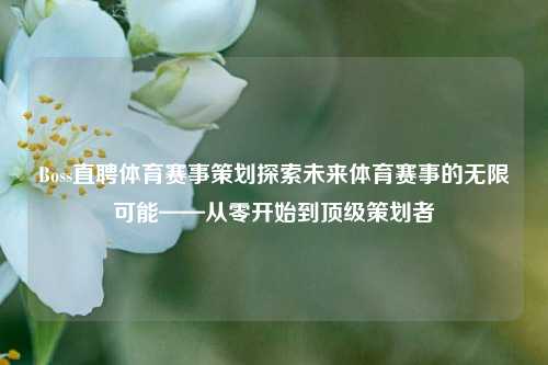 Boss直聘体育赛事策划探索未来体育赛事的无限可能——从零开始到顶级策划者