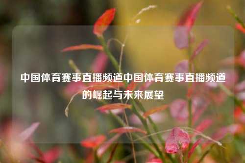 中国体育赛事直播频道中国体育赛事直播频道的崛起与未来展望