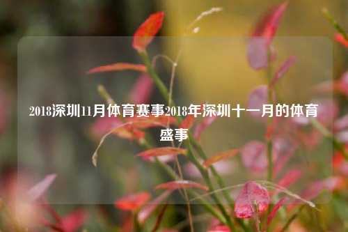2018深圳11月体育赛事2018年深圳十一月的体育盛事