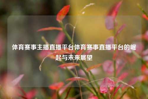 体育赛事主播直播平台体育赛事直播平台的崛起与未来展望