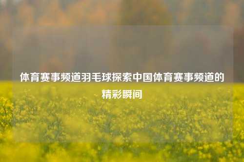 体育赛事频道羽毛球探索中国体育赛事频道的精彩瞬间