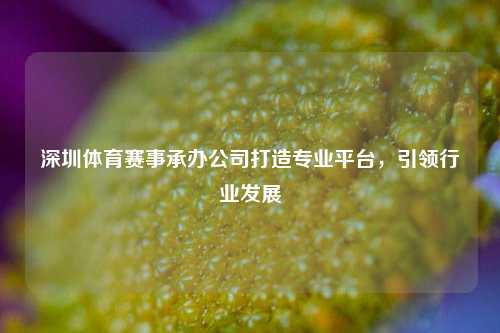 深圳体育赛事承办公司打造专业平台，引领行业发展