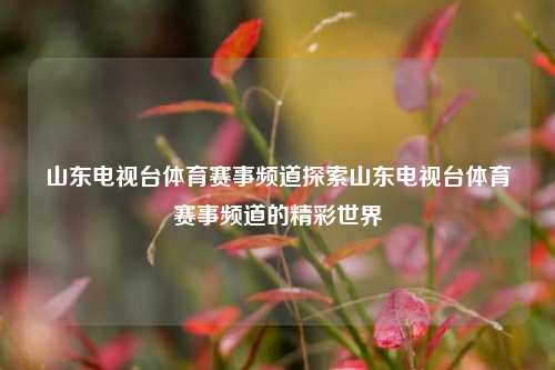 山东电视台体育赛事频道探索山东电视台体育赛事频道的精彩世界
