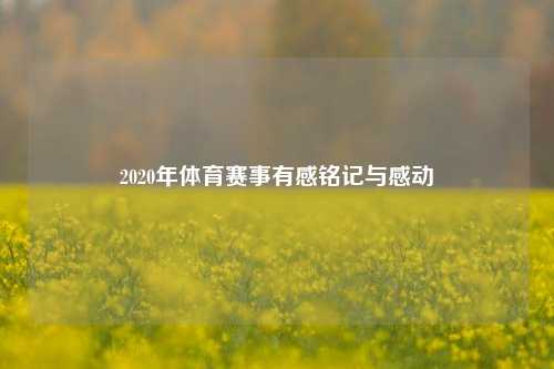 2020年体育赛事有感铭记与感动