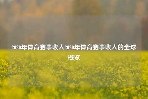 2020年体育赛事收入2020年体育赛事收入的全球概览