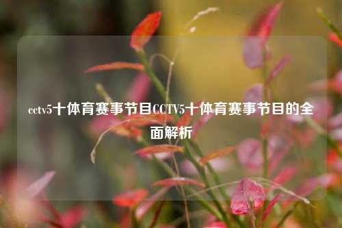 cctv5十体育赛事节目CCTV5十体育赛事节目的全面解析