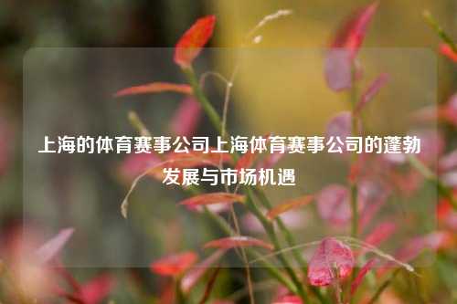 上海的体育赛事公司上海体育赛事公司的蓬勃发展与市场机遇