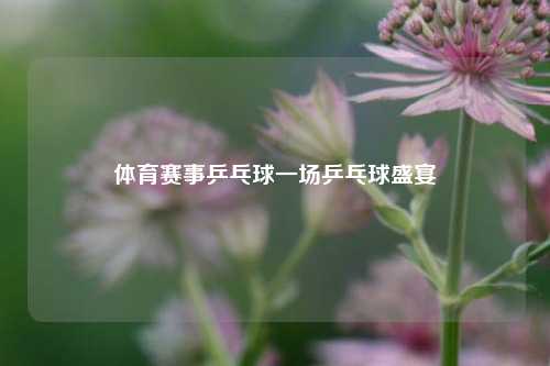 体育赛事乒乓球一场乒乓球盛宴