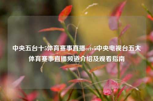 中央五台十5体育赛事直播cctv5中央电视台五大体育赛事直播频道介绍及观看指南
