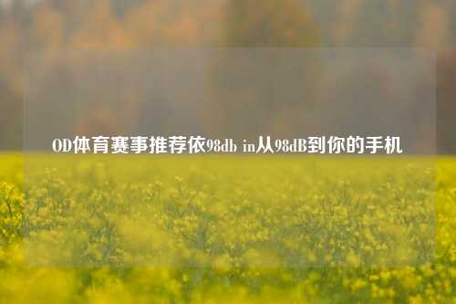 OD体育赛事推荐依98db in从98dB到你的手机