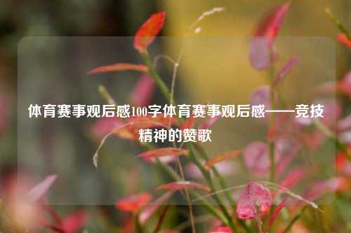 体育赛事观后感100字体育赛事观后感——竞技精神的赞歌