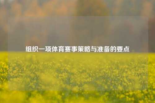 组织一项体育赛事策略与准备的要点