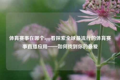 体育赛事在哪个app看探索全球最流行的体育赛事直播应用——如何找到你的最爱