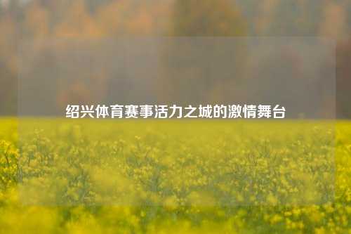 绍兴体育赛事活力之城的激情舞台