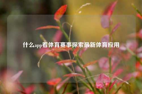 什么app看体育赛事探索最新体育应用