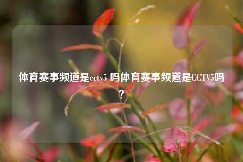 体育赛事频道是cctv5 吗体育赛事频道是CCTV5吗？