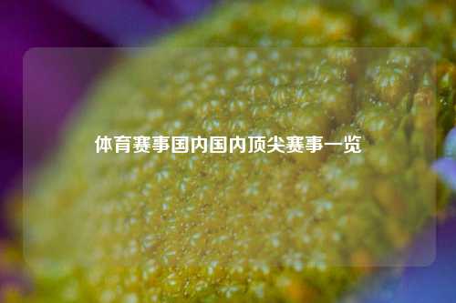 体育赛事国内国内顶尖赛事一览