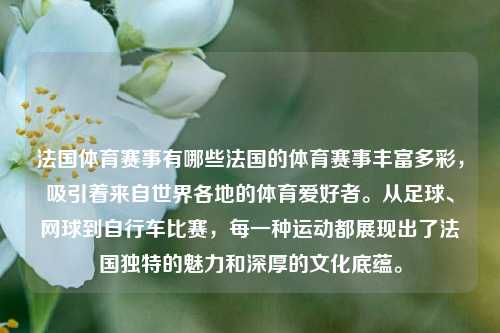 法国体育赛事有哪些法国的体育赛事丰富多彩，吸引着来自世界各地的体育爱好者。从足球、网球到自行车比赛，每一种运动都展现出了法国独特的魅力和深厚的文化底蕴。