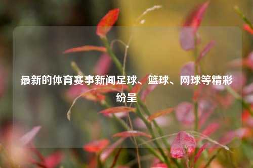 最新的体育赛事新闻足球、篮球、网球等精彩纷呈
