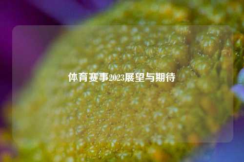 体育赛事2023展望与期待
