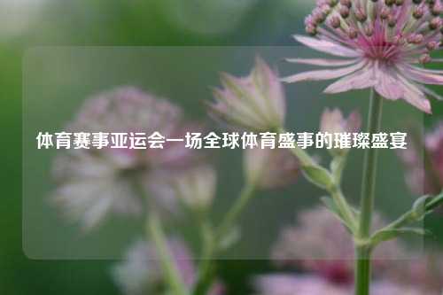 体育赛事亚运会一场全球体育盛事的璀璨盛宴