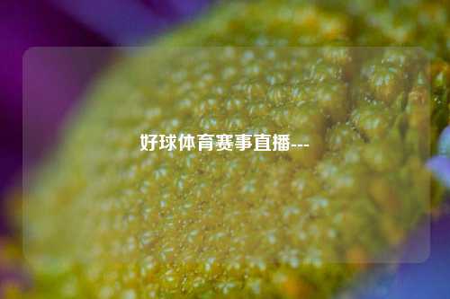 好球体育赛事直播---